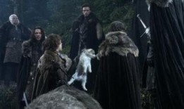 权力的游戏六在线观看,王座之战，命运之轮转动